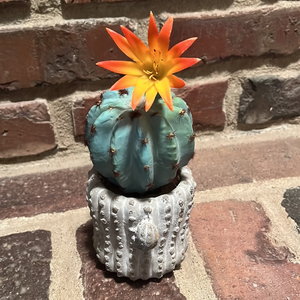 Spring/Summer Decor - Picture 2 of 3